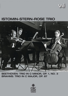 Istomin-Stern-Rose Trio: Beethoven, Brahms (1965) (DVD)